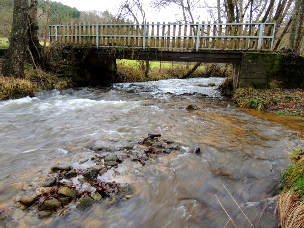 Ruisseau de Valz 26 janvier 2014