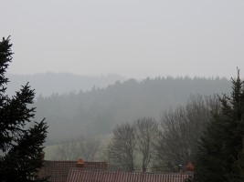 Pollution